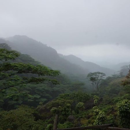Jungle Tree House Rangala Bed & Breakfast Kandy Exterior photo