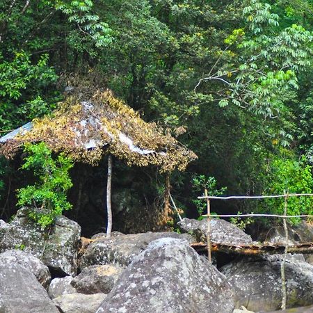 Jungle Tree House Rangala Bed & Breakfast Kandy Exterior photo